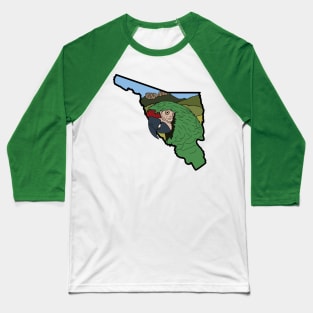 Guacamaya Baseball T-Shirt